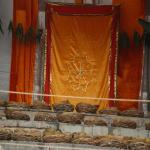 Vraj-Yatra-2014- (1928)